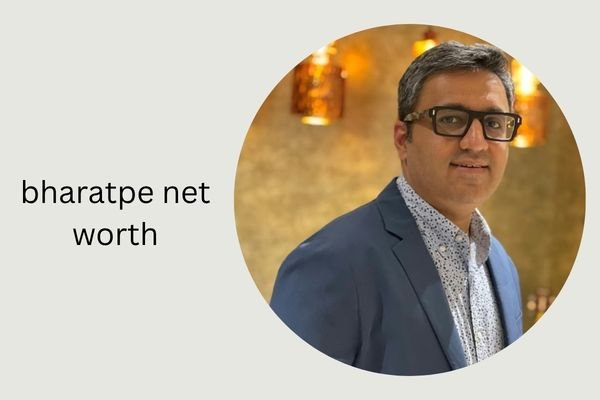 BharatPe Net Worth 2026 Revealed: Ashneer Grover Income & Bio bharatpe net worth